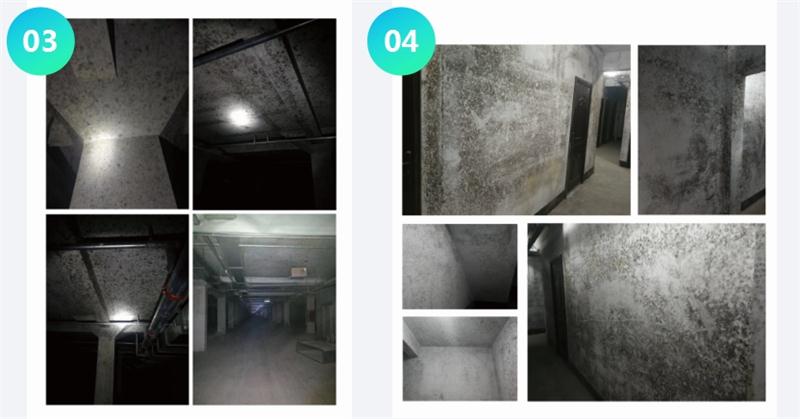 霉菌的溫床：地下車庫或儲藏室潮濕、滲漏...(圖2)